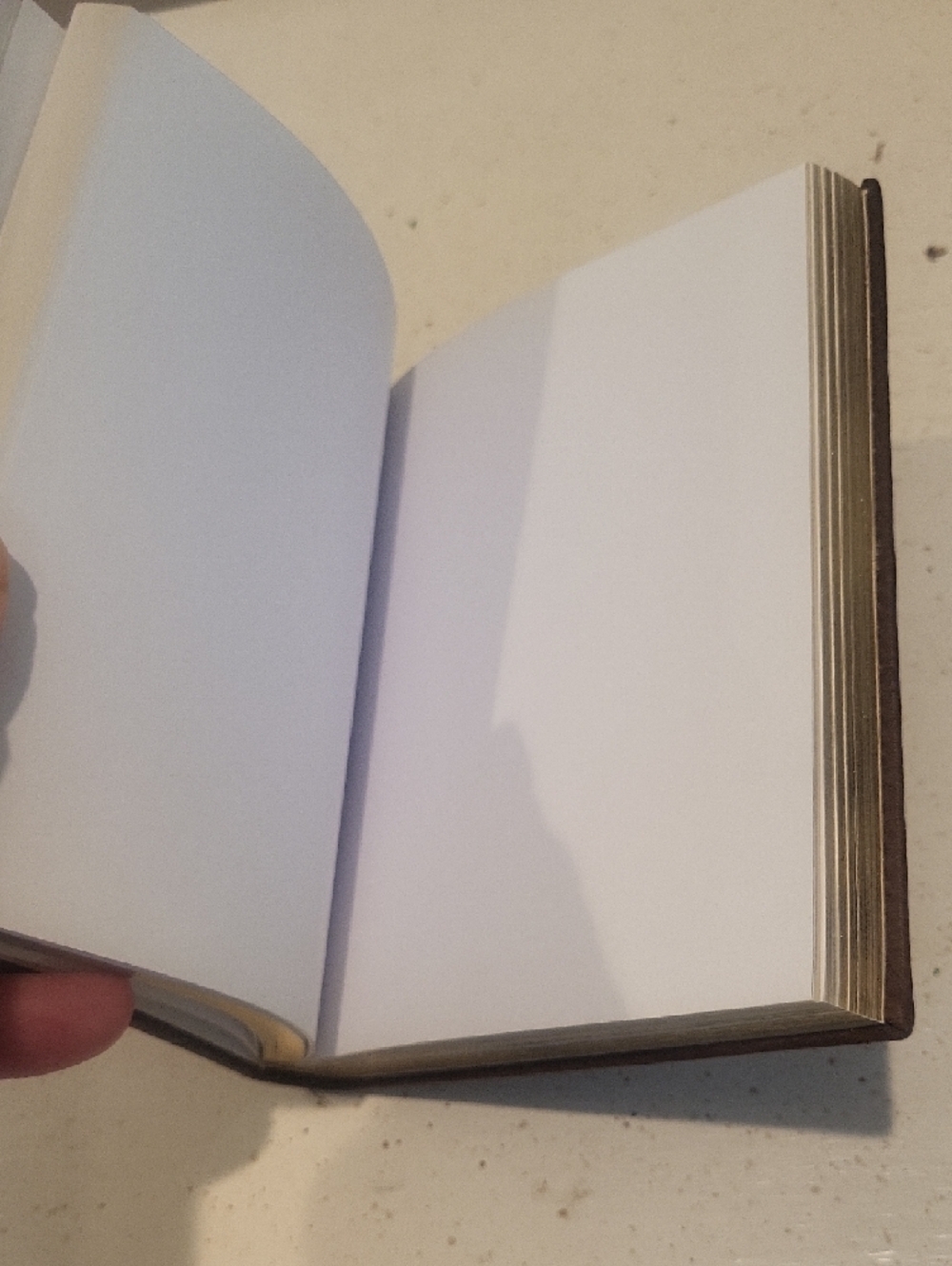 Burberry Brown Leather Notebook Journal Gold Edge Pages Italy Unused - Picture 6 of 7
